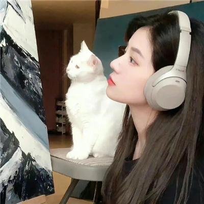玩伴猫耳娘